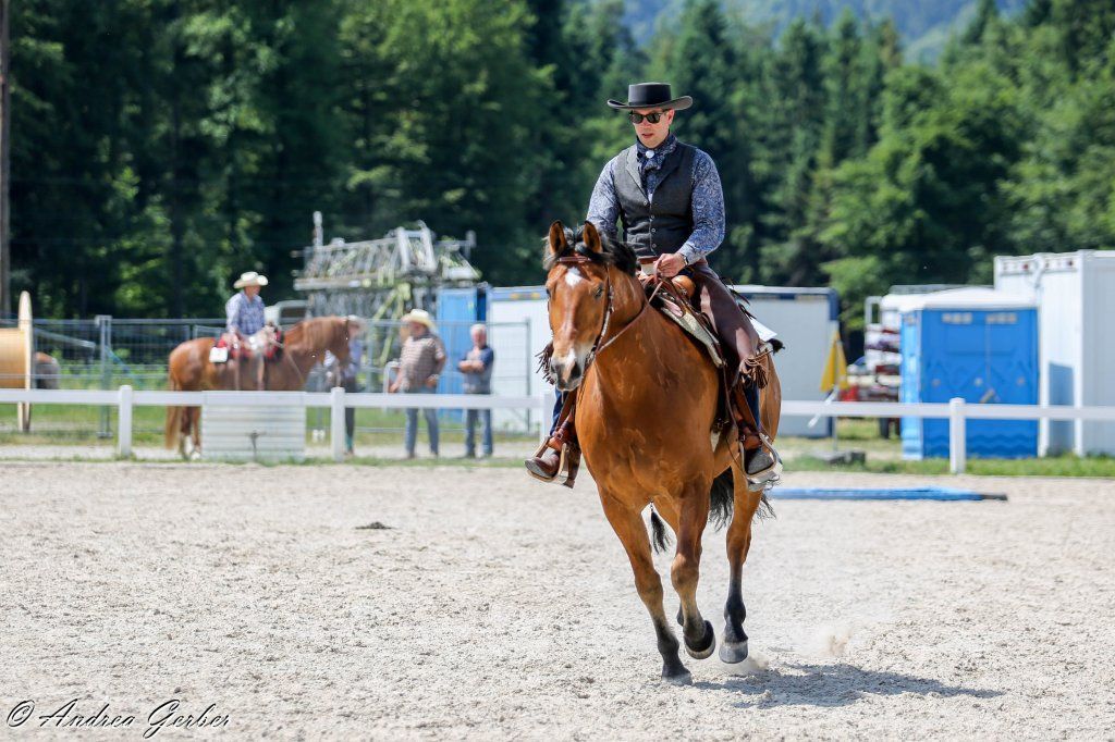 Swiss Ranch Horse Association - SRHA