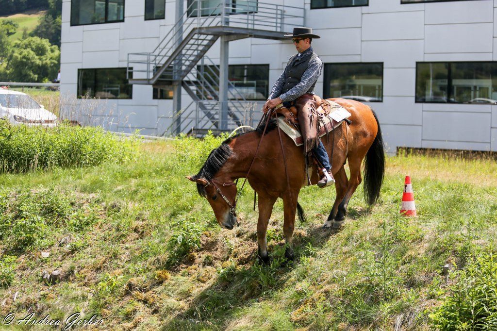 Swiss Ranch Horse Association - SRHA