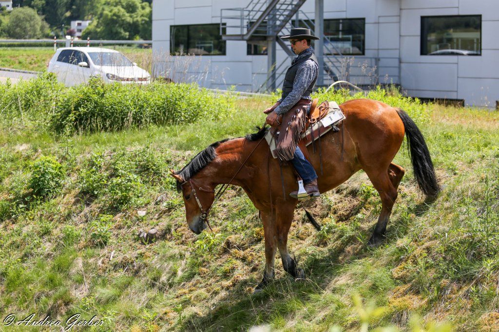 Swiss Ranch Horse Association - SRHA