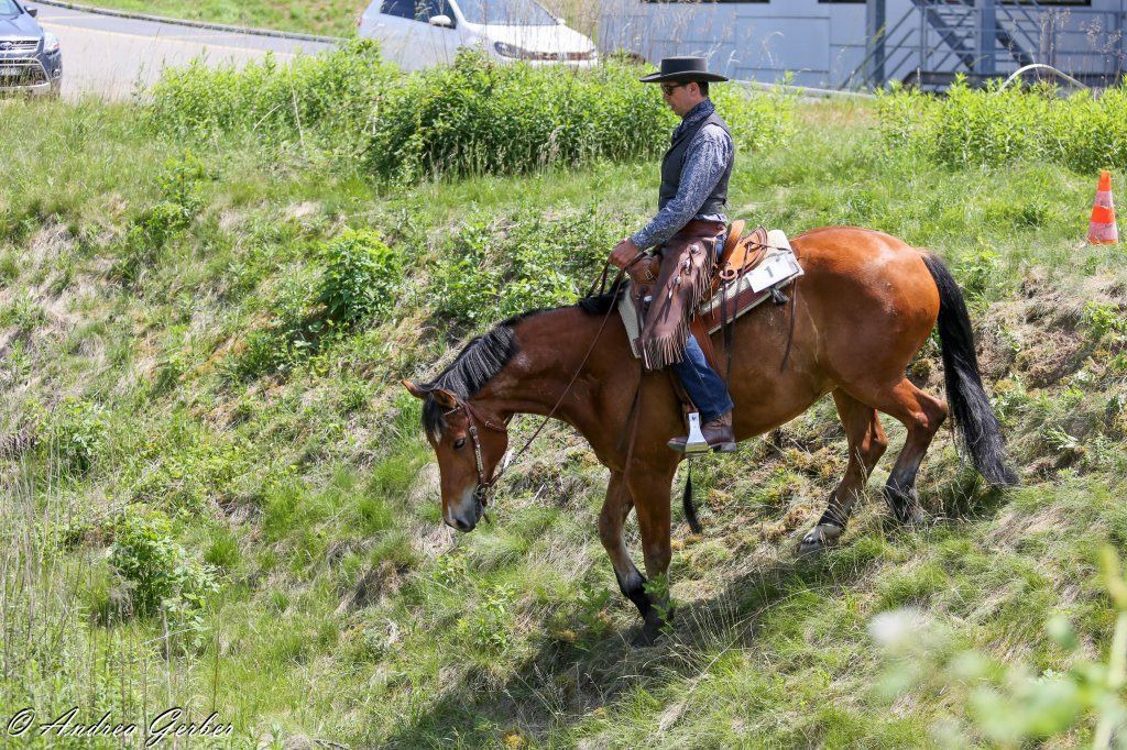 Swiss Ranch Horse Association - SRHA