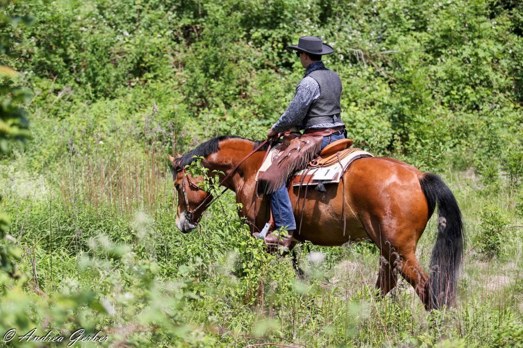 Swiss Ranch Horse Association - SRHA