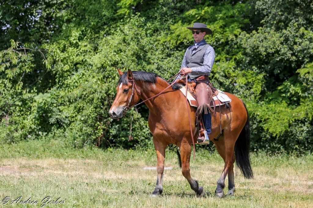 Swiss Ranch Horse Association - SRHA