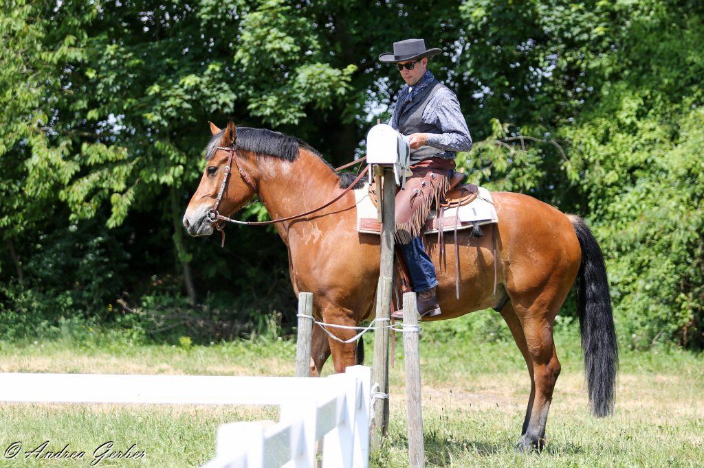 Swiss Ranch Horse Association - SRHA