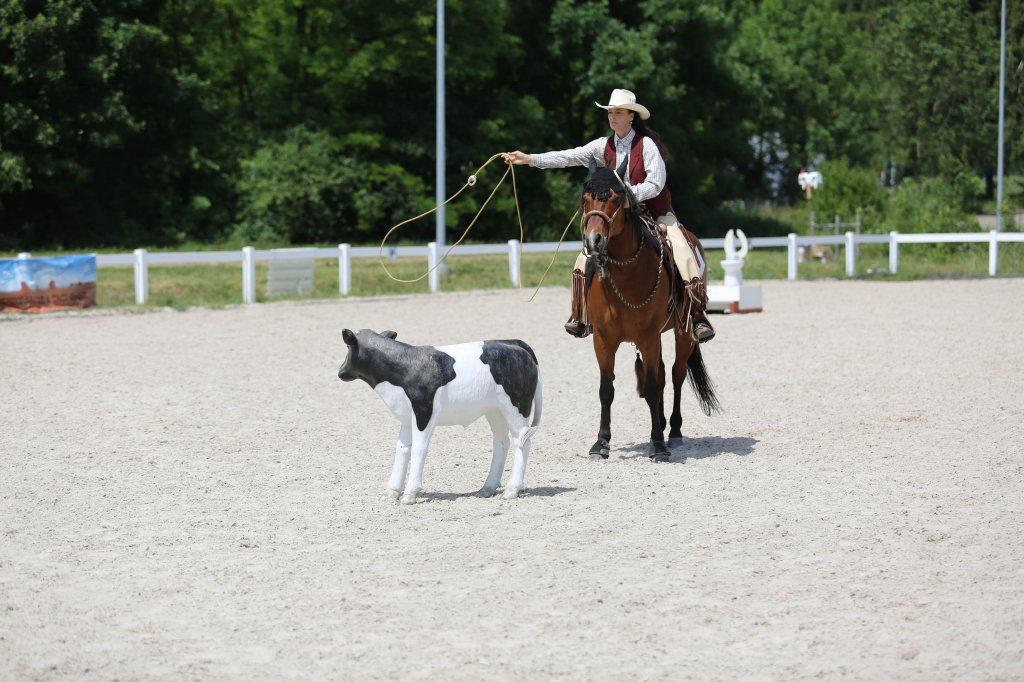 Swiss Ranch Horse Association - SRHA