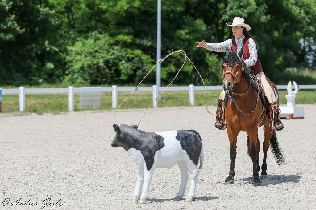 Swiss Ranch Horse Association - SRHA
