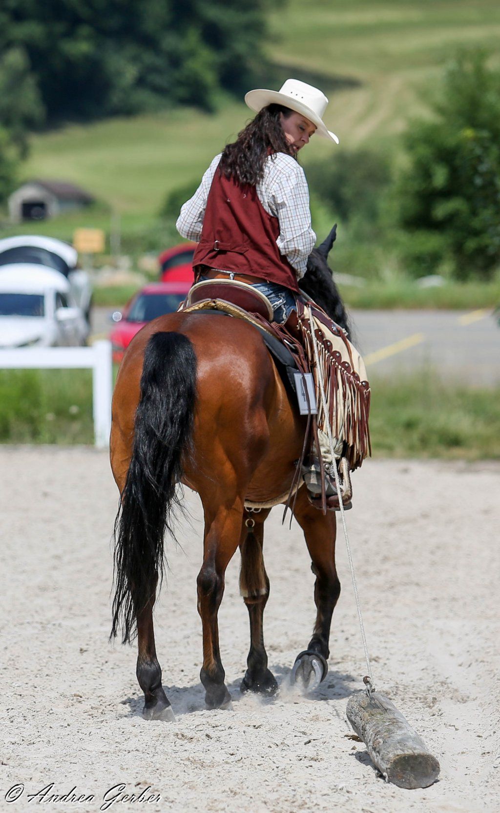 Swiss Ranch Horse Association - SRHA