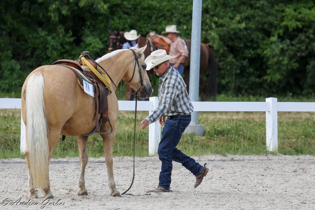 Swiss Ranch Horse Association - SRHA