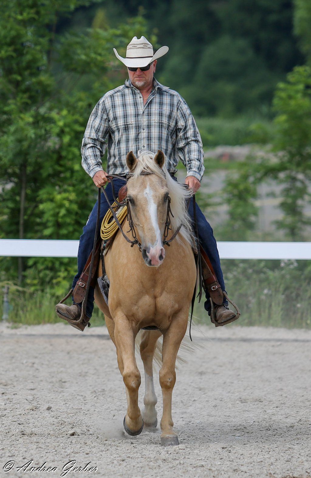Swiss Ranch Horse Association - SRHA