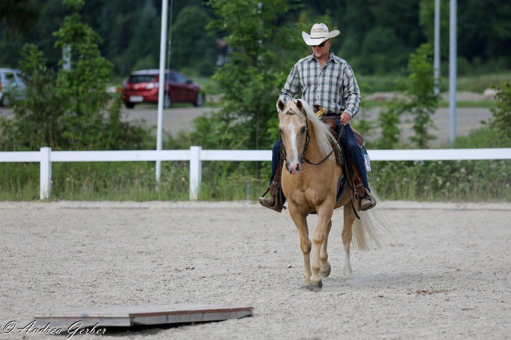 Swiss Ranch Horse Association - SRHA