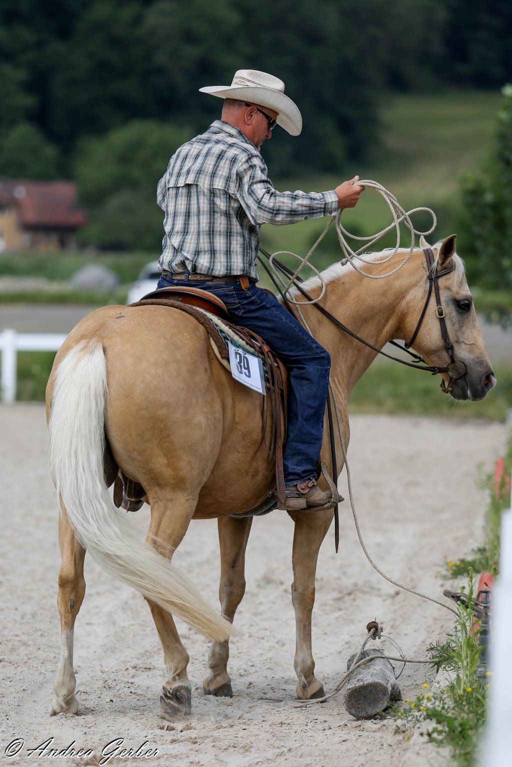Swiss Ranch Horse Association - SRHA