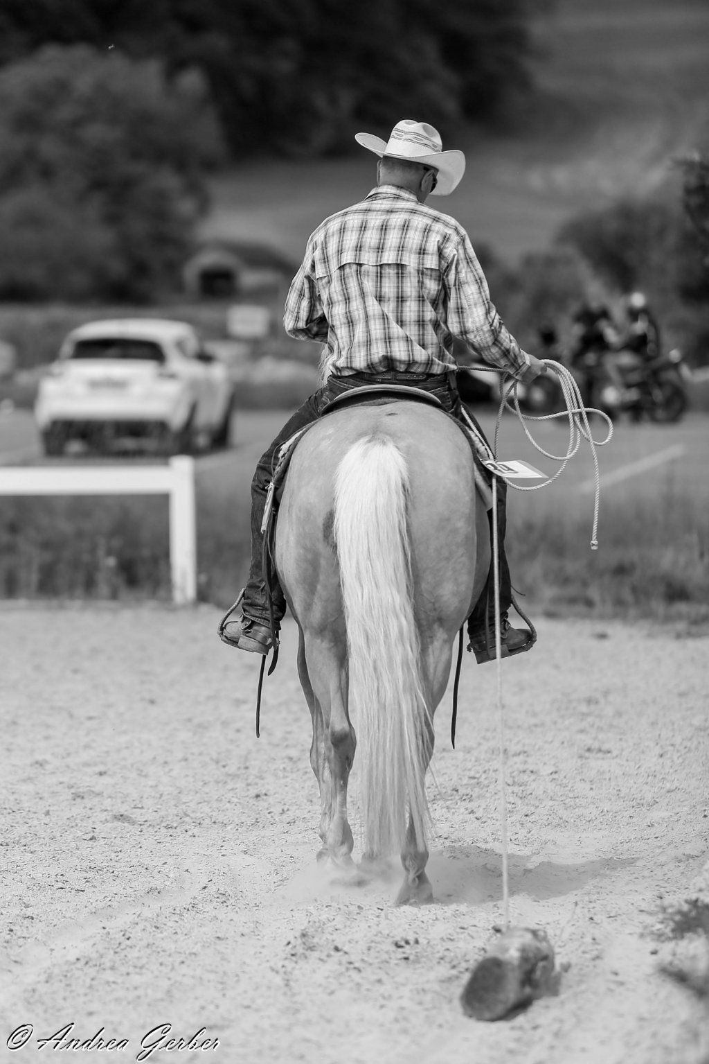 Swiss Ranch Horse Association - SRHA