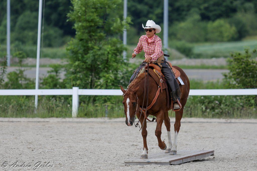 Swiss Ranch Horse Association - SRHA