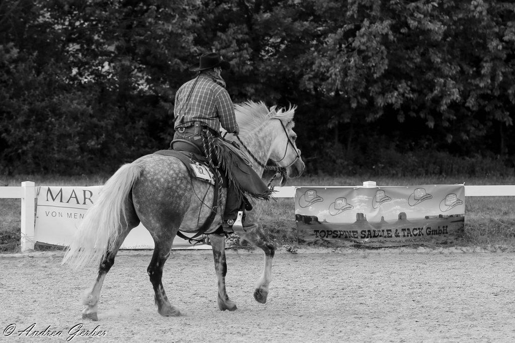 Swiss Ranch Horse Association - SRHA