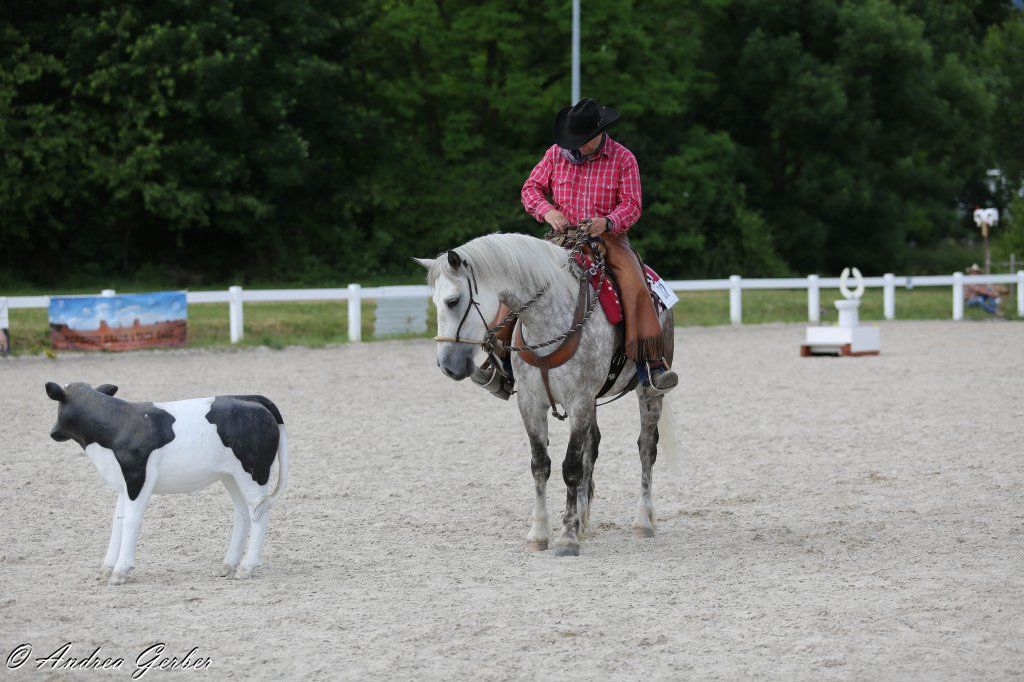 Swiss Ranch Horse Association - SRHA
