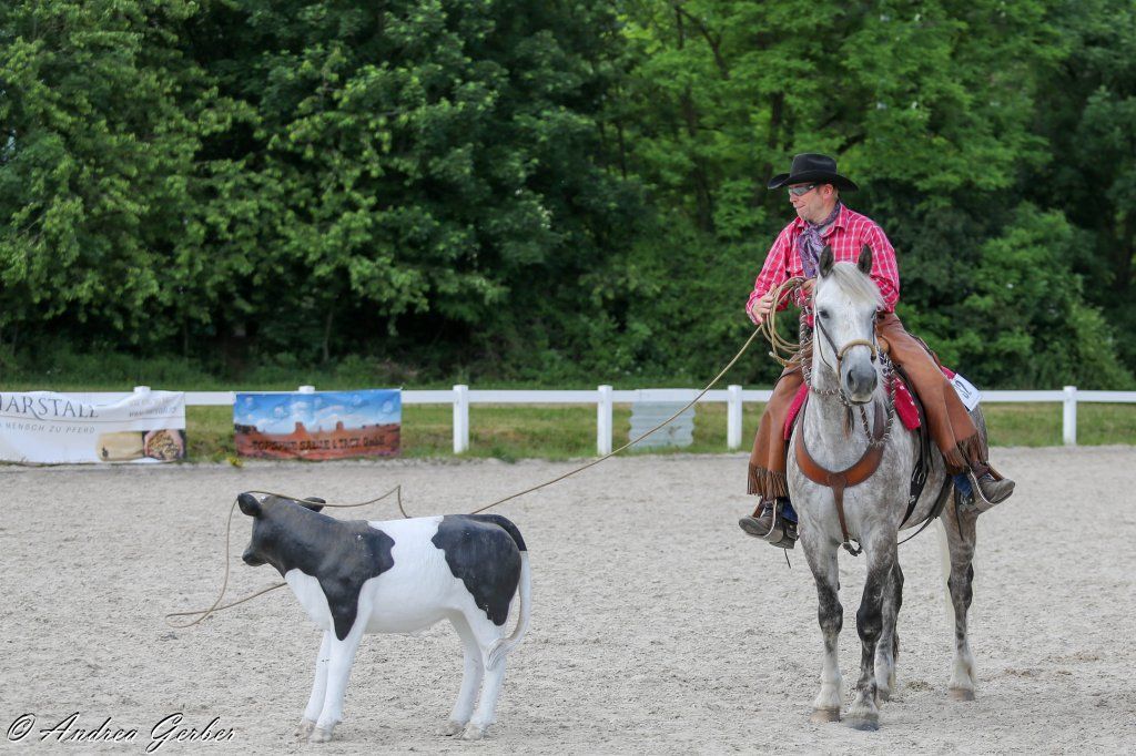 Swiss Ranch Horse Association - SRHA