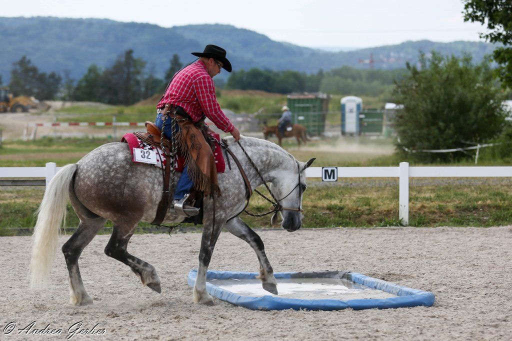 Swiss Ranch Horse Association - SRHA