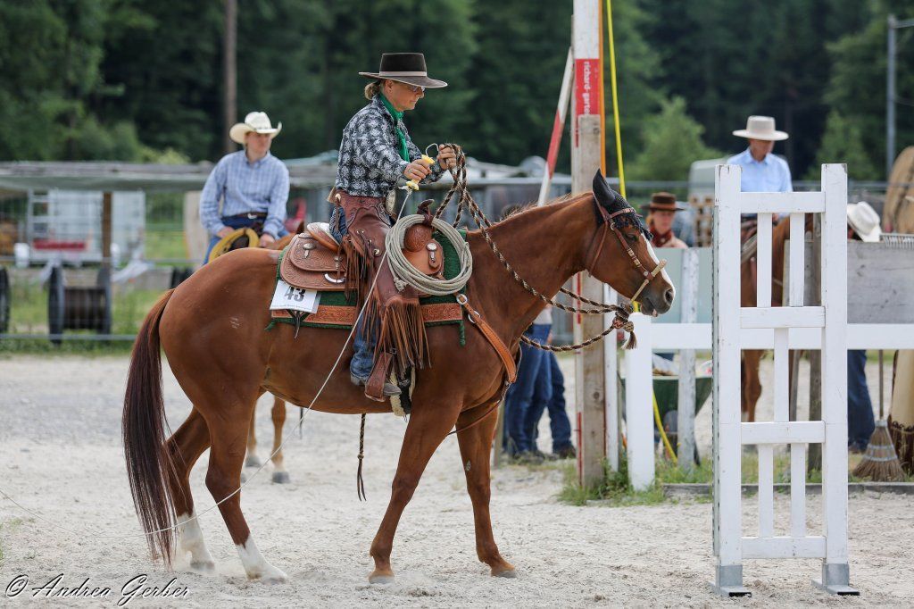 Swiss Ranch Horse Association - SRHA