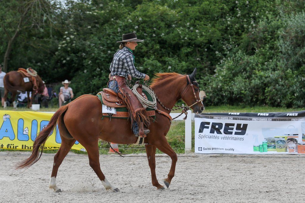 Swiss Ranch Horse Association - SRHA