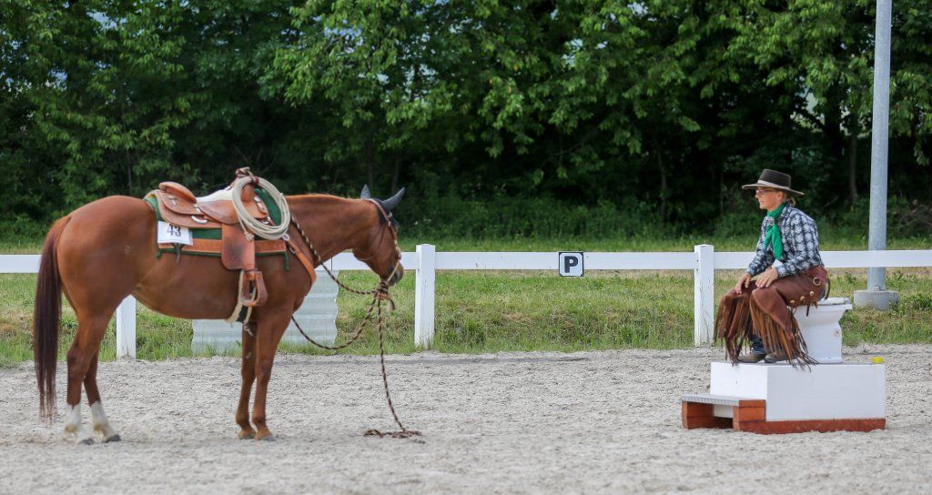 Swiss Ranch Horse Association - SRHA