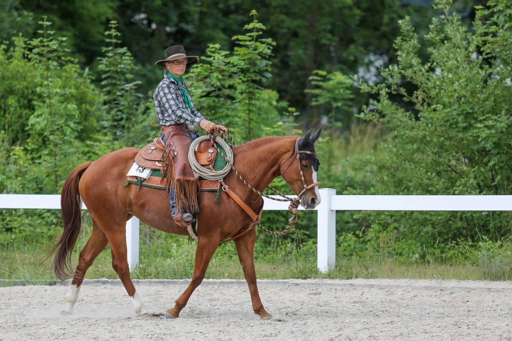 Swiss Ranch Horse Association - SRHA