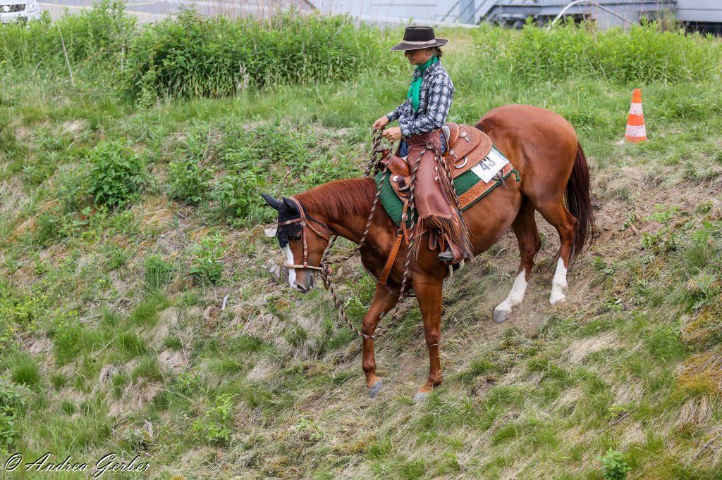 Swiss Ranch Horse Association - SRHA
