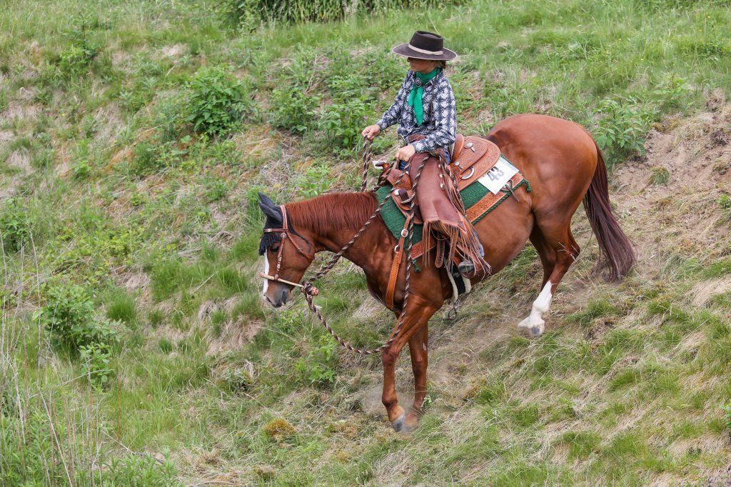 Swiss Ranch Horse Association - SRHA