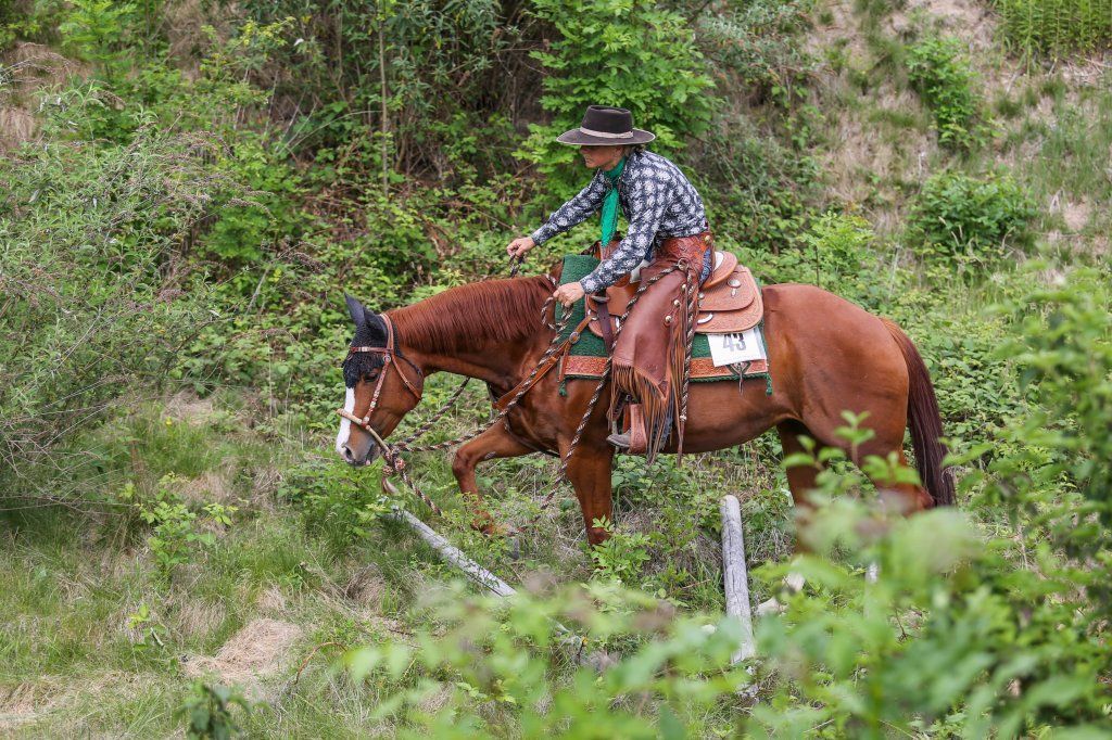 Swiss Ranch Horse Association - SRHA