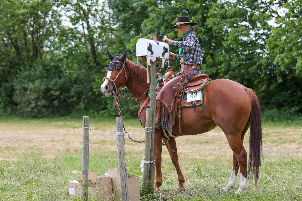 Swiss Ranch Horse Association - SRHA
