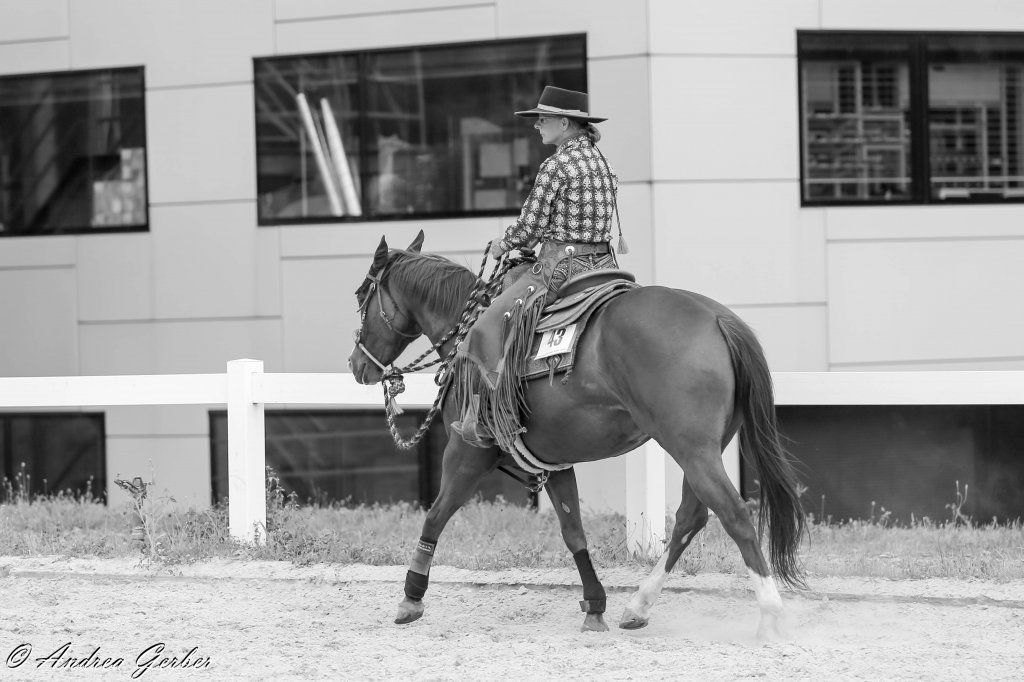 Swiss Ranch Horse Association - SRHA