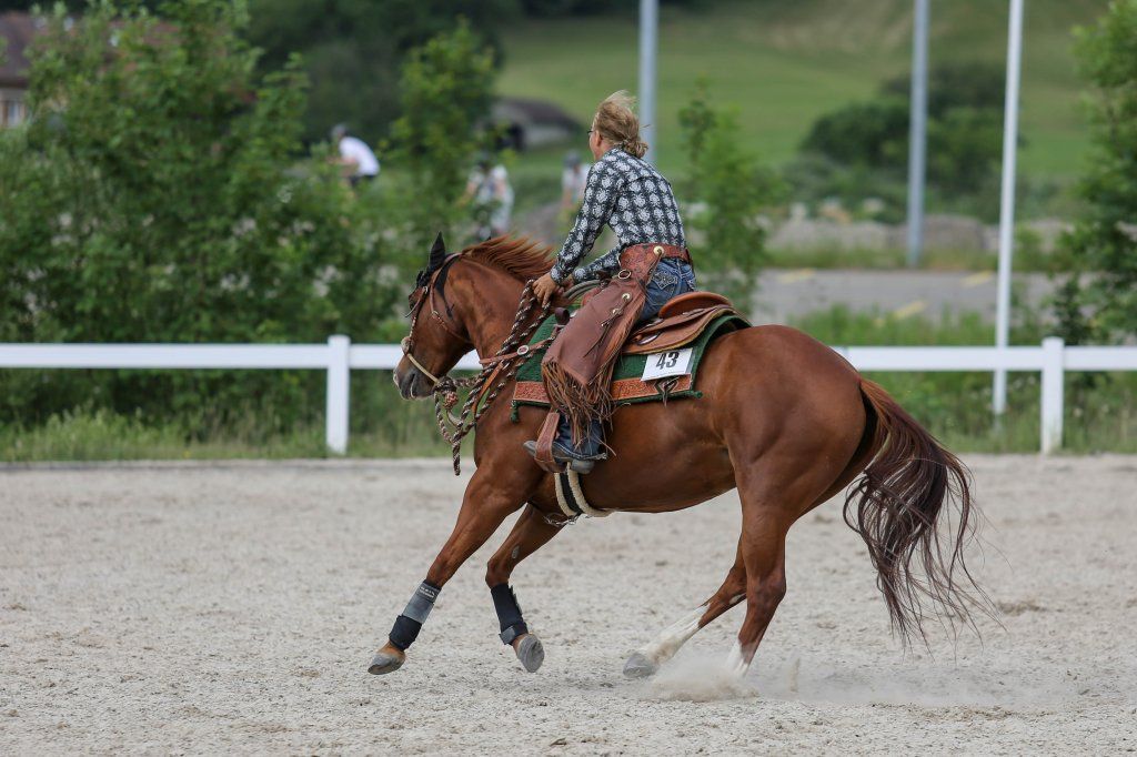 Swiss Ranch Horse Association - SRHA
