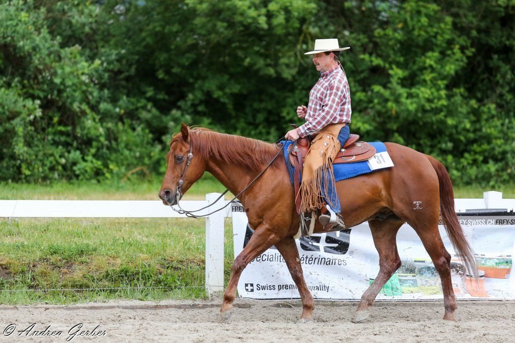 Swiss Ranch Horse Association - SRHA