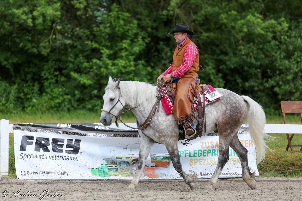 Swiss Ranch Horse Association - SRHA