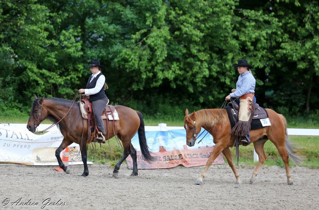 Swiss Ranch Horse Association - SRHA