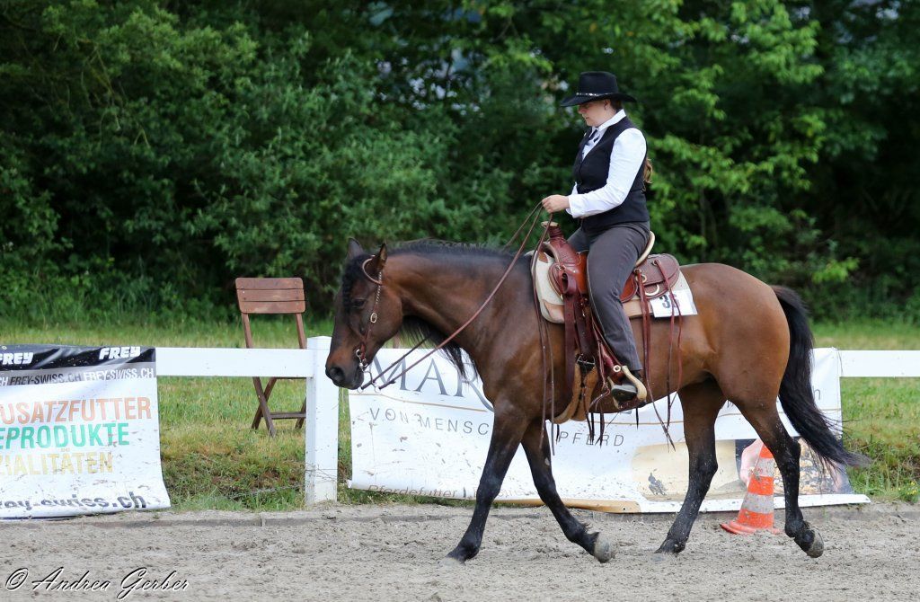 Swiss Ranch Horse Association - SRHA