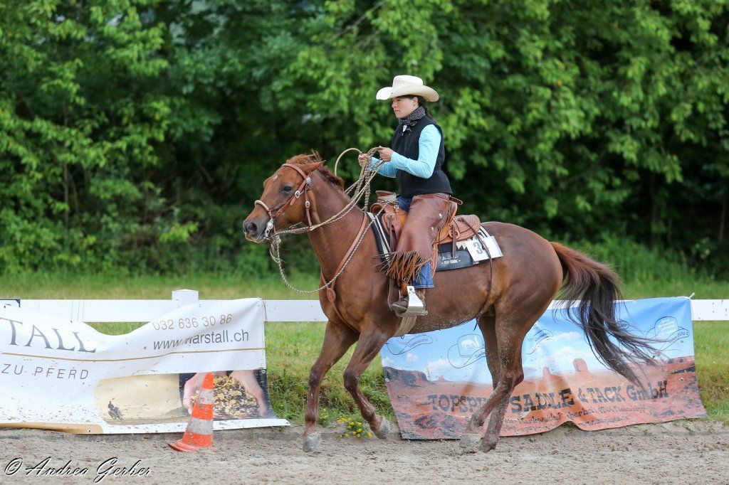 Swiss Ranch Horse Association - SRHA