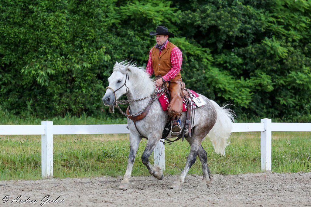 Swiss Ranch Horse Association - SRHA