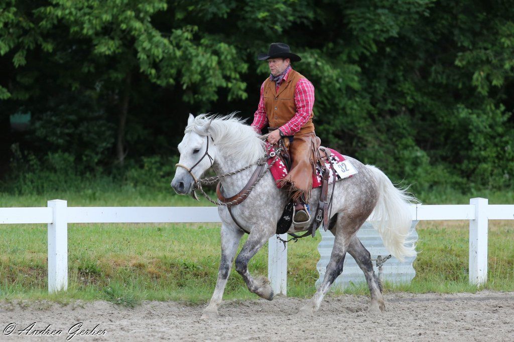 Swiss Ranch Horse Association - SRHA