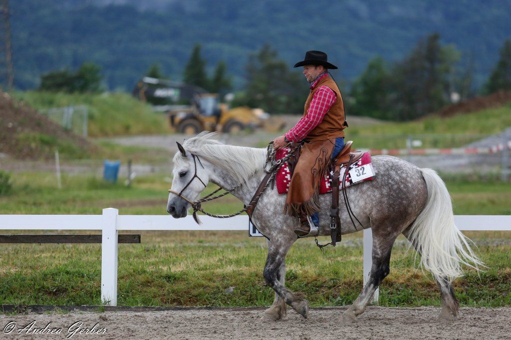 Swiss Ranch Horse Association - SRHA
