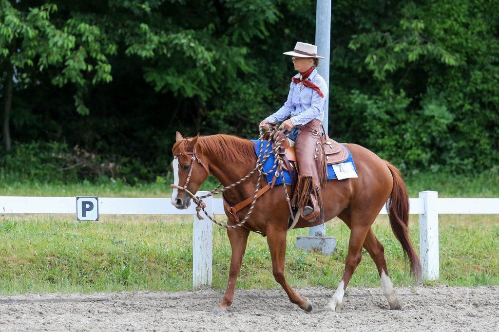 Swiss Ranch Horse Association - SRHA