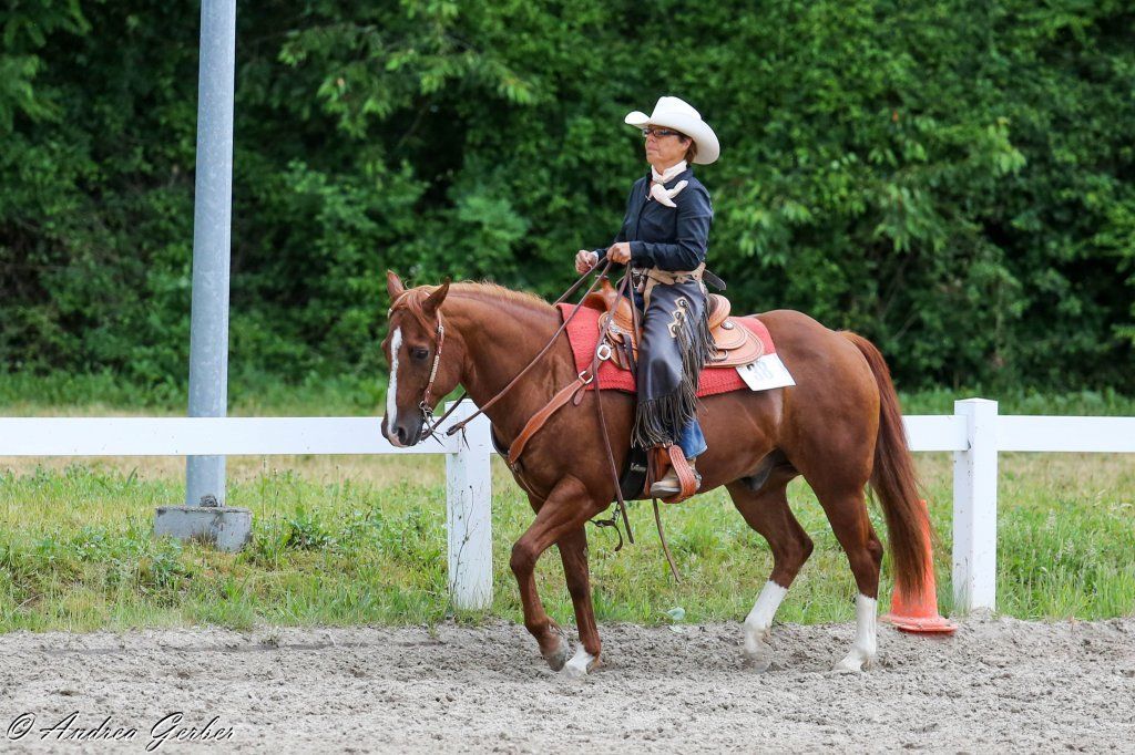Swiss Ranch Horse Association - SRHA