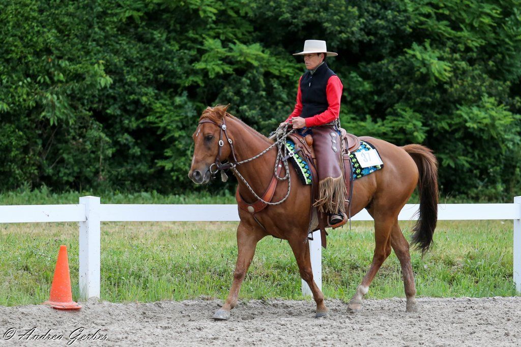 Swiss Ranch Horse Association - SRHA