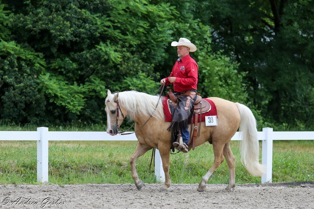 Swiss Ranch Horse Association - SRHA