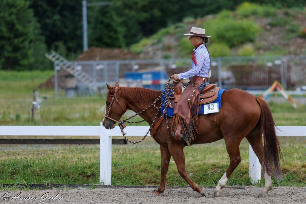 Swiss Ranch Horse Association - SRHA