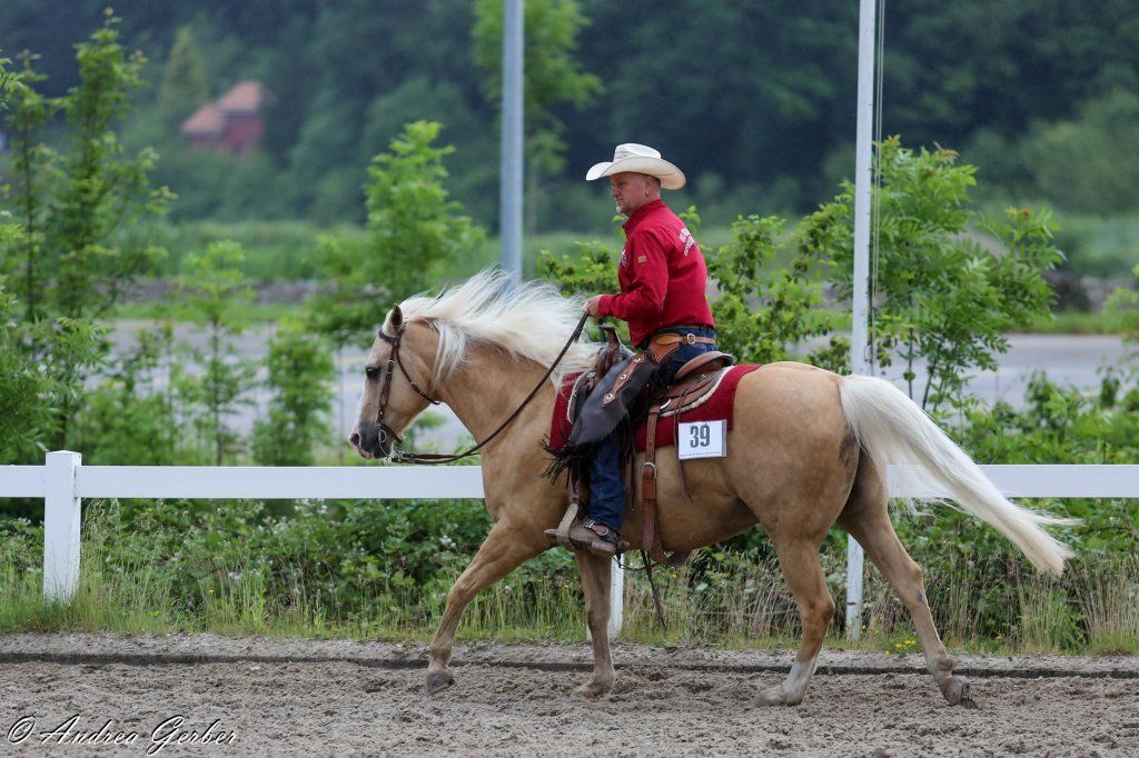 Swiss Ranch Horse Association - SRHA