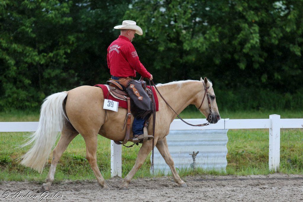 Swiss Ranch Horse Association - SRHA