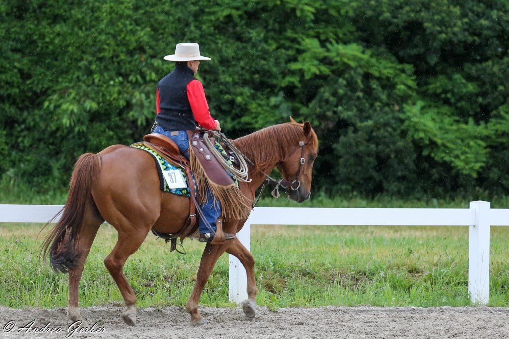 Swiss Ranch Horse Association - SRHA