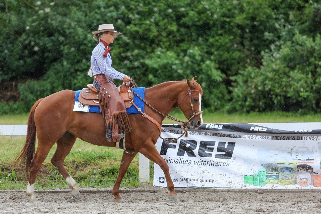 Swiss Ranch Horse Association - SRHA