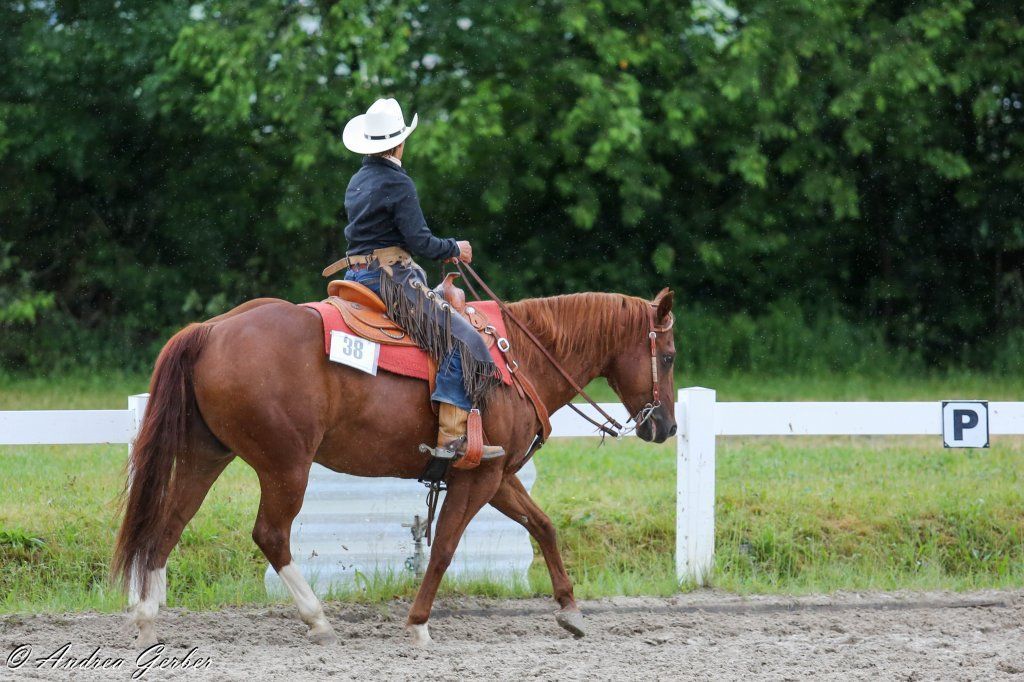 Swiss Ranch Horse Association - SRHA