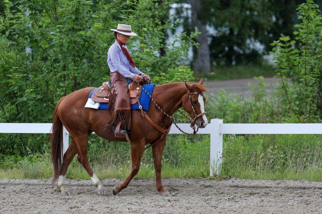 Swiss Ranch Horse Association - SRHA