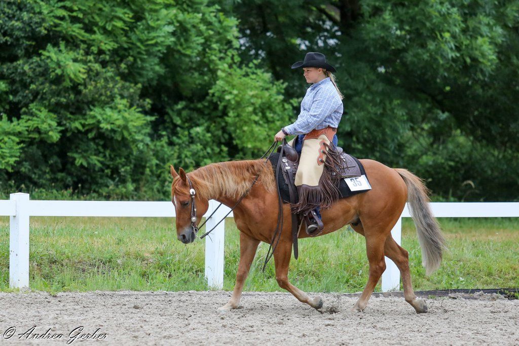 Swiss Ranch Horse Association - SRHA